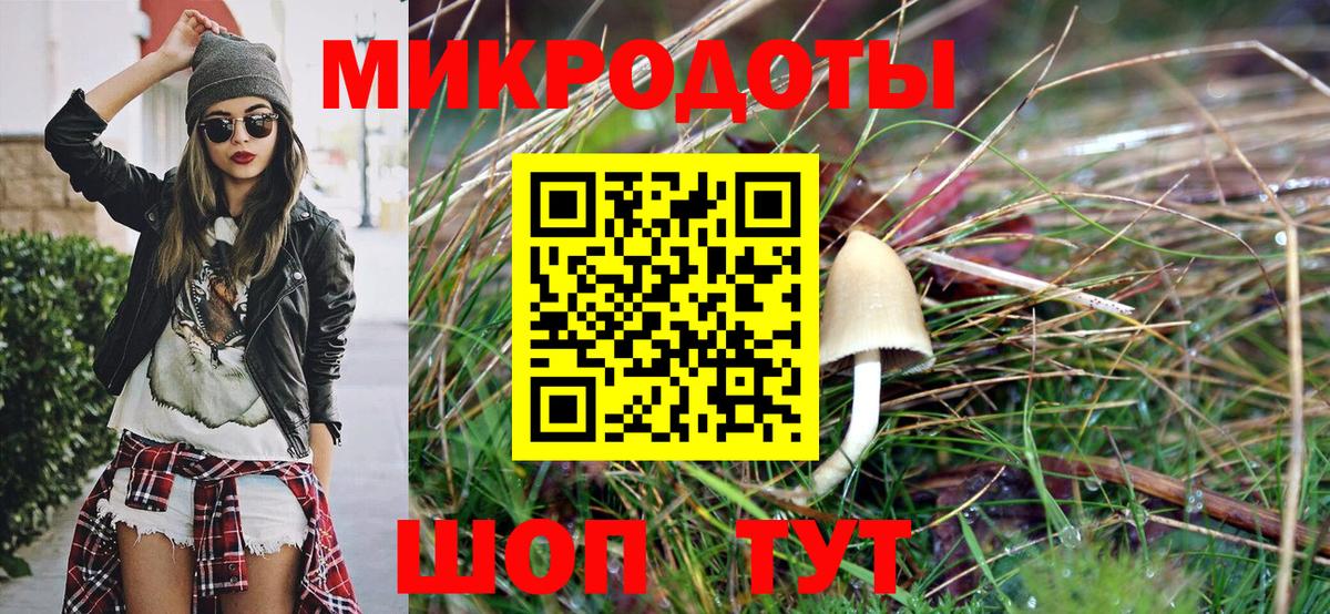 Псилоцибиновые грибы мицелий Прохладный
